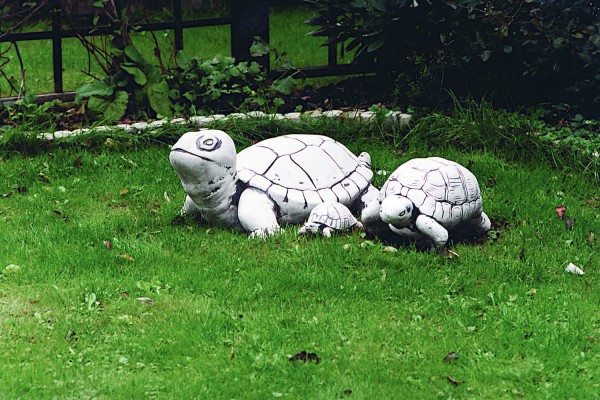 Скульптура Черепаха