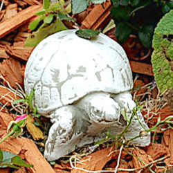 Скульптура Черепаха