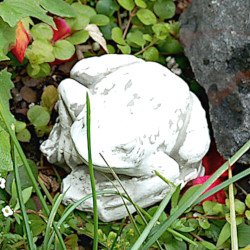 Скульптура Жаба