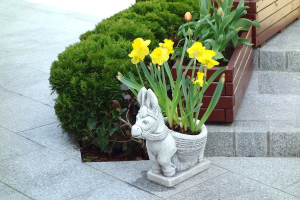 Скульптура современная Ослик с цветочным горшком