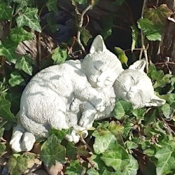 Скульптура  Котята спят